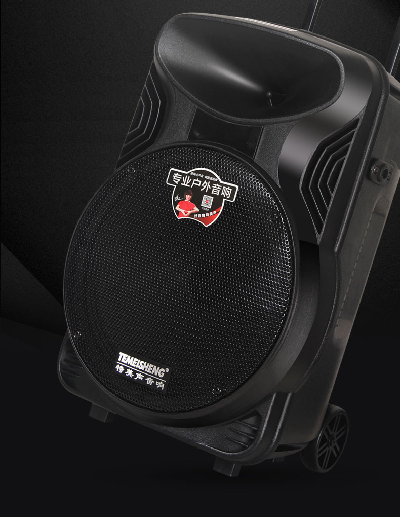 特美声 a12-18a 双话筒 12寸低音 - 统万城